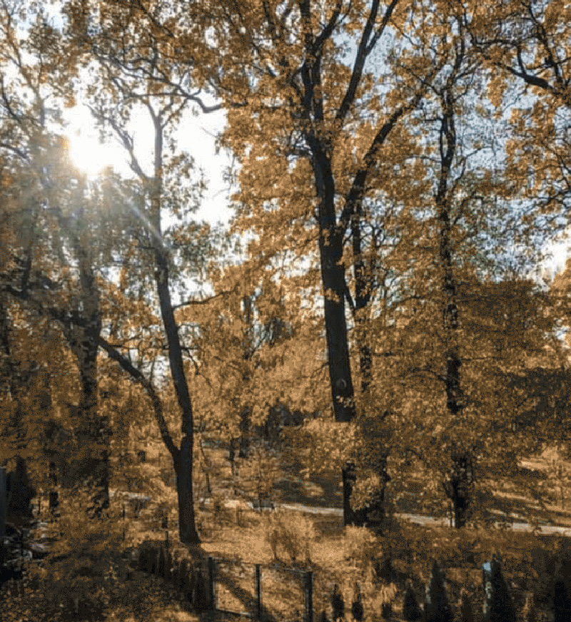 Kwatery Wrocław
